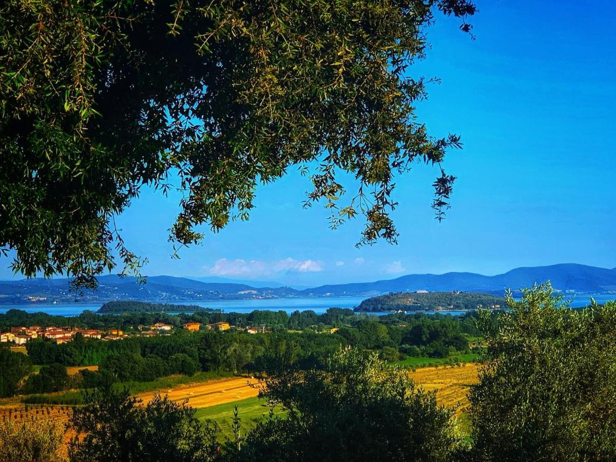 Agriturismo Annibale ตัวโร ซุล ตราซิเมโน ภายนอก รูปภาพ