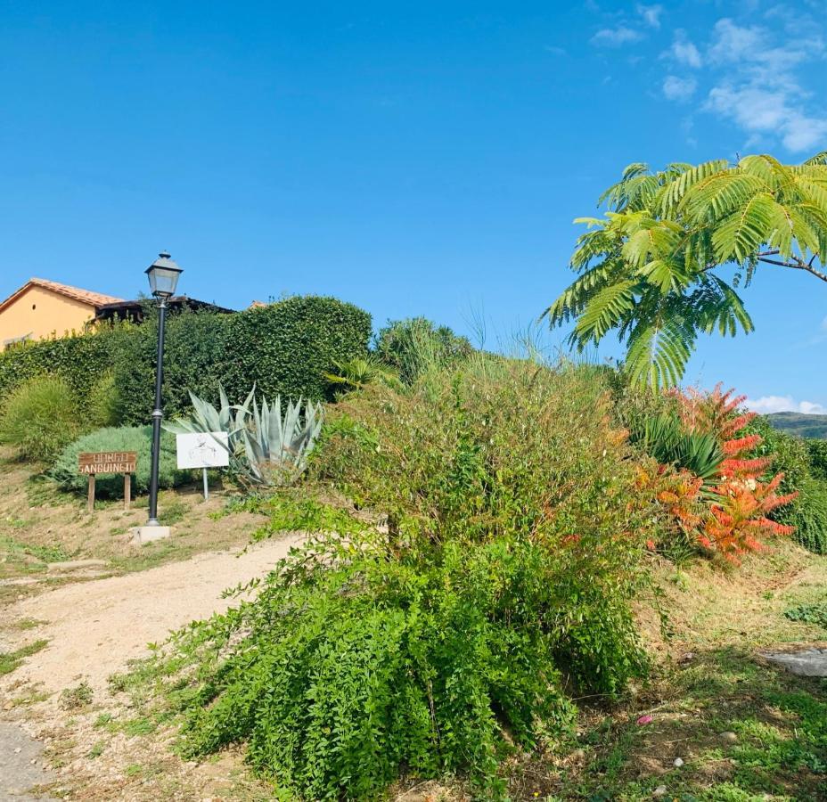 Agriturismo Annibale ตัวโร ซุล ตราซิเมโน ภายนอก รูปภาพ